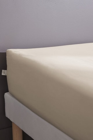 Drap-housse en percale de coton 80 fils/cm² Bally  - Sable