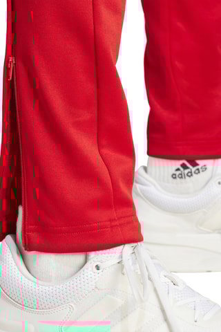 Pantalon de survêtement Tiro - Rouge