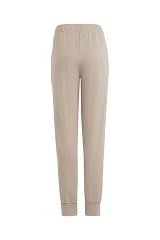 Sweat et pantalon Future Icons - Taupe