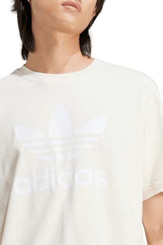T-shirt Trèfle Adicolor - Blanc