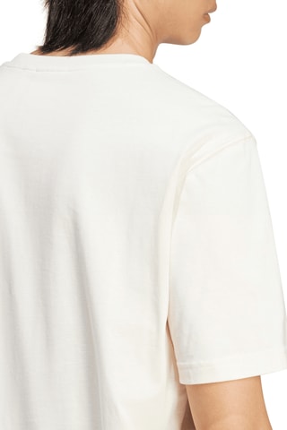 T-shirt Trèfle Adicolor - Blanc