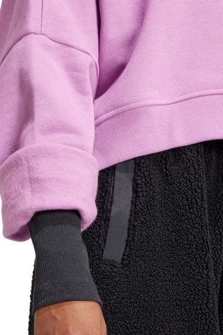 Sweat Trefoil Essentials - Violet