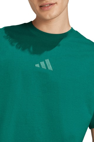 T-shirt ALL SZN - Vert