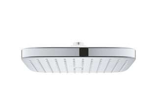 Douche de tête Vitalio Comfort 250