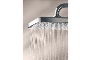 Douche de tête Vitalio Comfort 250