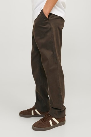 Chino - Bruin