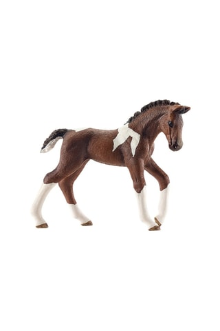 Poulain Trakehnen Horse Club - Dès 3 ans