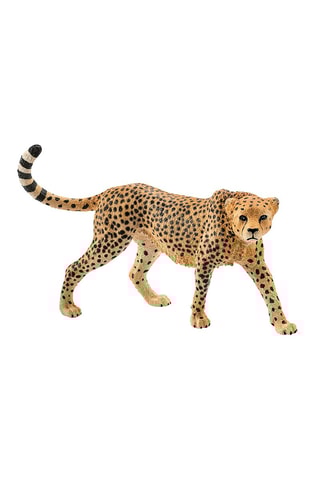 2 leopardos fêmeas  A partir dos 3 anos