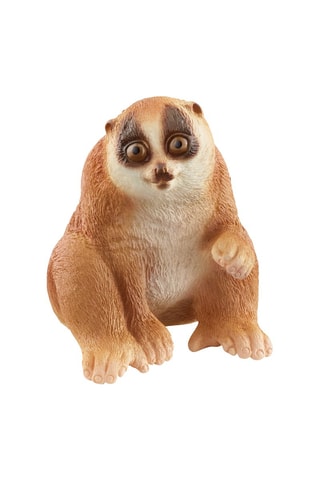 Slow Loris Wild Life A partir dos 3 anos