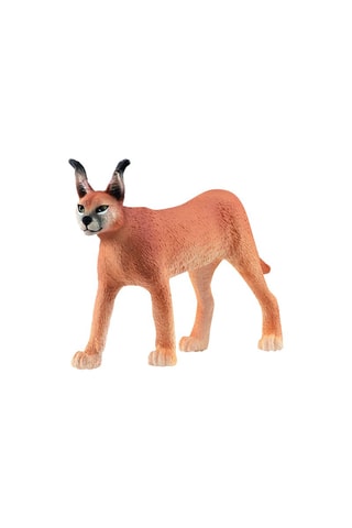 Fêmea Caracal Wild Life - A partir dos 3 anos