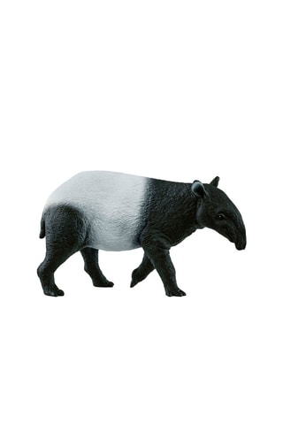 Tapir Wild Life A partir dos 3 anos