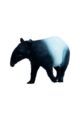 Tapir Wild Life A partir dos 3 anos