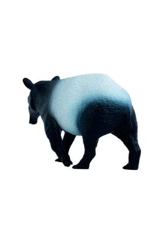 Tapir Wild Life A partir dos 3 anos