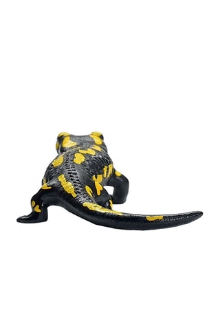 Salamandra malhada Wild Life - A partir de 3 anos