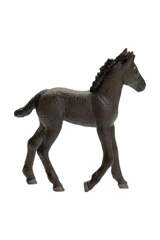 Poulain Frison Horse Club - Dès 5 ans