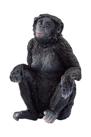 Fêmea Bonobo Wild Life - A partir dos 3 anos