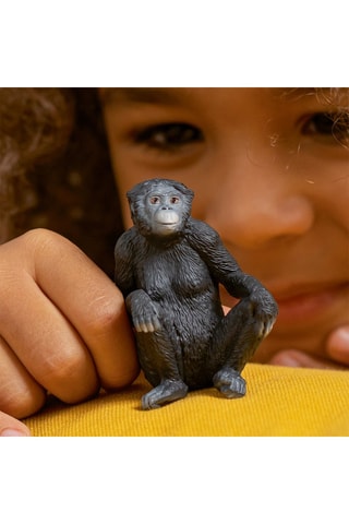 Fêmea Bonobo Wild Life - A partir dos 3 anos