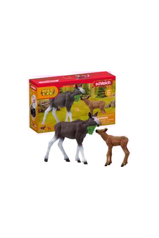 Élan Fêmea com vitelo Wild Life - A partir dos 3 anos