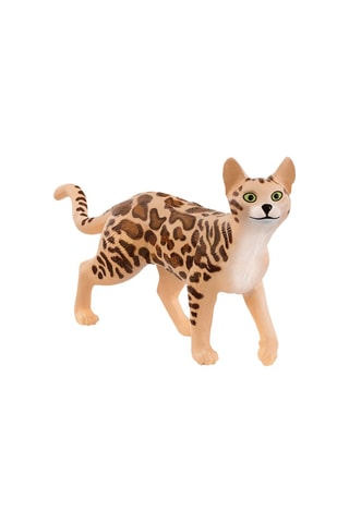 Chat bengal - Dès 3 ans