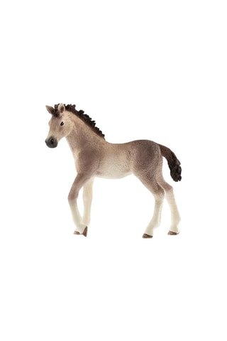 Poulain andalou  Horse Club Dès 3 ans