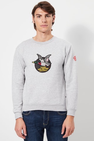 Sweater Grijs