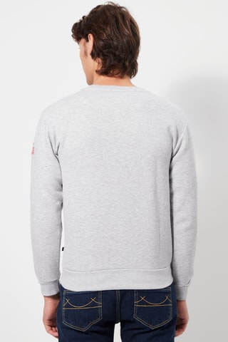 Sweater Grijs