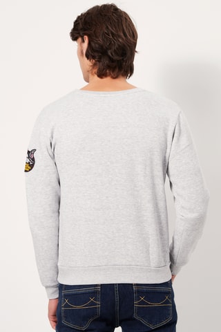 Sweater Grijs