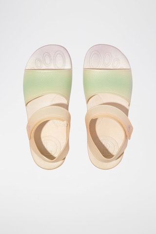Sandalen - Beige en Groen