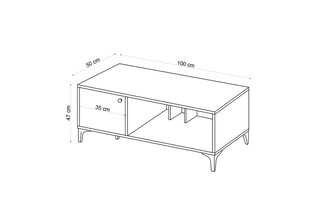 Table basse - 100 x 50 x 47 cm