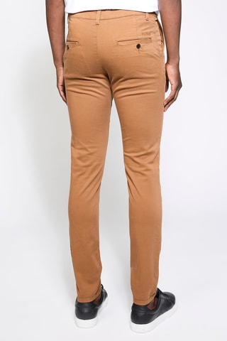 Chino - Camel