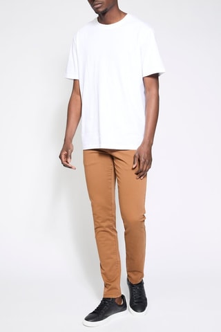 Chino - Camel