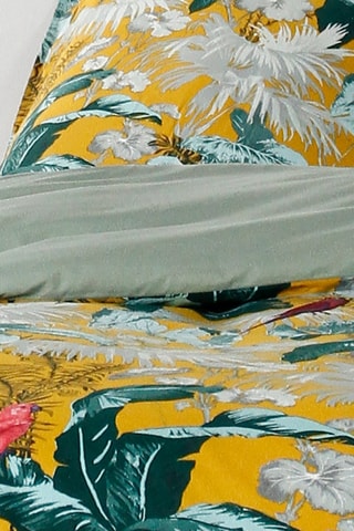 Conjunto de cama em algodão 57 fios/cm² - Ocre
