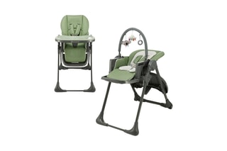2-in- 1 Kinderstoel Tummie - Vanaf de Geboorte - Tot 15 kg