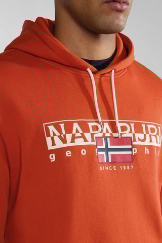 Sweat à capuche Aylmer - Orange