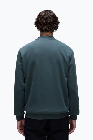 Sweat Albula - Vert