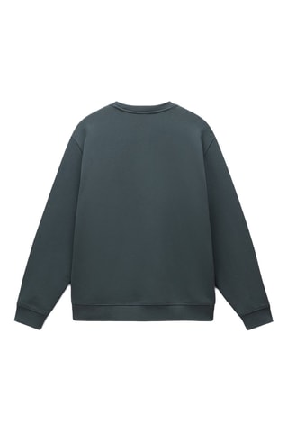 Sweat Albula - Vert