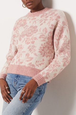 Pull - Rose