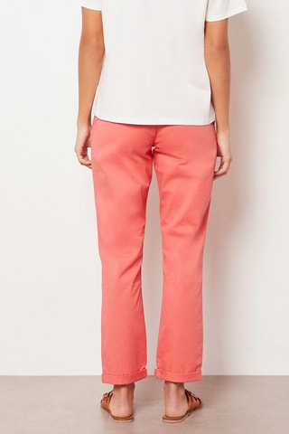 Chino - Rose