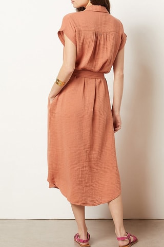 Robe chemise Marron