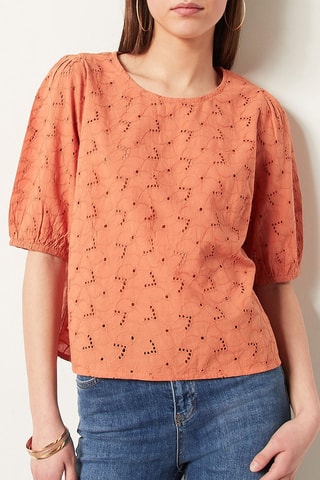 Blouse en broderie anglaise Marron