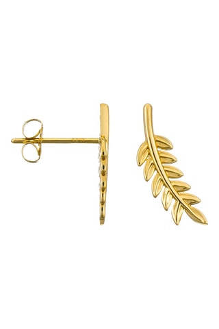 Brincos Folhas trepadeiras  Ouro amarelo