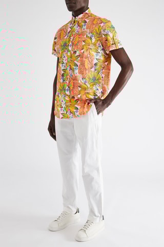 Calças chino - Branco - Harmont & Blaine