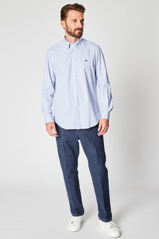 Chemise rayée - Bleu  - Harmont & Blaine