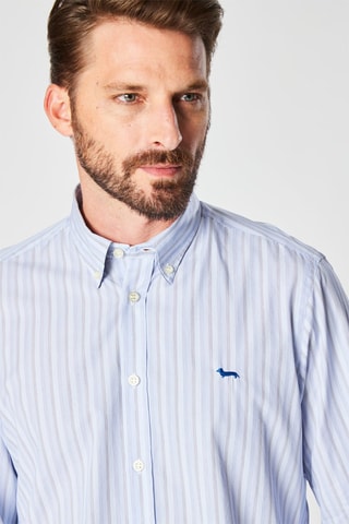Chemise rayée - Bleu  - Harmont & Blaine