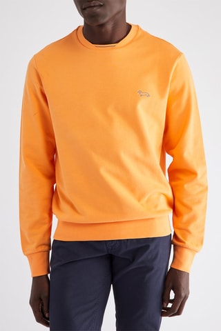 Sweat - Orange - Harmont & Blaine