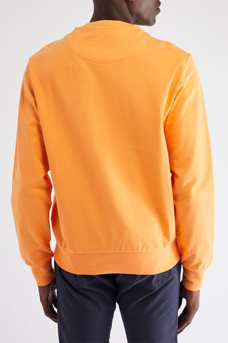 Sweat - Orange - Harmont & Blaine