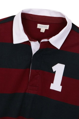 Polo - Bordeaux et bleu marine