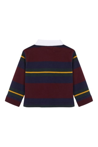 Polo - Bordeaux et bleu marine