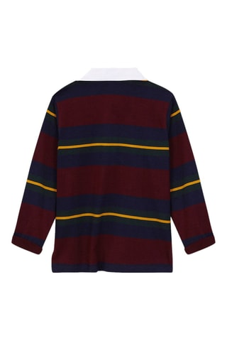 Polo - Bordeaux et bleu marine