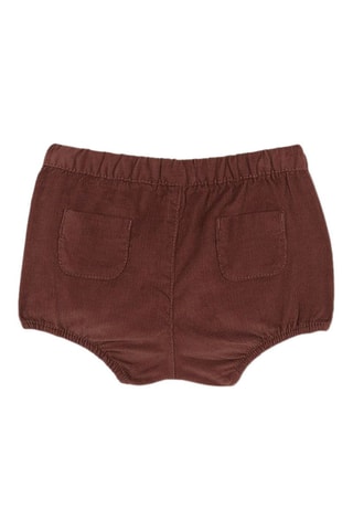 Bloomer - Marron